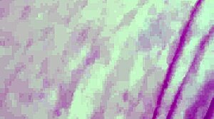 Vivi Guedez Black Blowjob Facial Sex