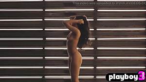 Fatima Kojima poses in ripped lingerie showing big ass. 😏