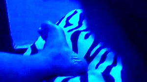 argentinian performance part 2