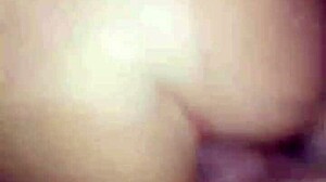 Cuzinho virgem gets bold doggystyle massage and bent over pounding