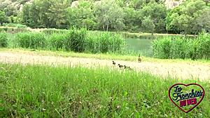 i love anal sex as a sexy brunette slut