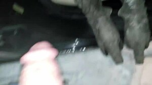 Passionate Blowjob On Highway Sparks Intense Creampie Emotions On Side Of Road.