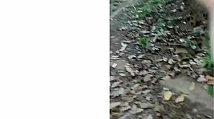 my friend took me to woods, fucked bareback, cum on face