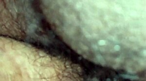 i came in my neighbor's hairy pussy