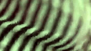 periscope girls showing off live on cam for fun. anyone watching?