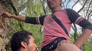 Sex Oral De Cruising, Hot Mexican Action! 🔥