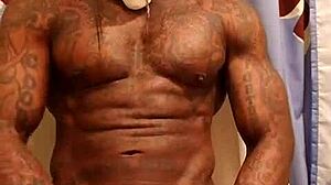 Sembah kote hitam besar, Hallelujah Johnson, untuk duit