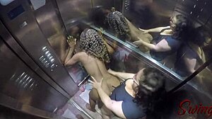 Hidden Cam Catches Sado Doll and Harlequin in Elevator Action