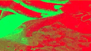 Caroleta roots enjoys smoking fetish and delicious 69