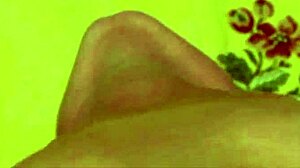 Blondie babe loving to get her anal hole pumped