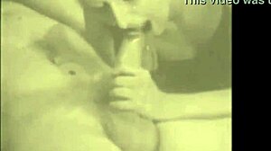 Exploring vintage hairy beaver in retro porn