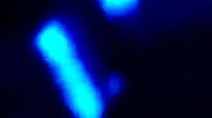 how does that big black cock feel sloppy?