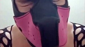 submissive with bitch mask makes a deep throat and runs when a client sucks her pussy www pequeydemonio com 😈