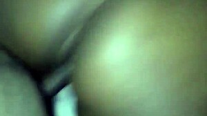 Big booty thot twerk on dick