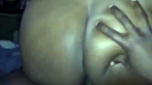 Big booty thot twerk on dick