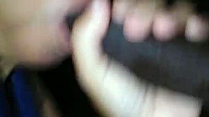 Latina bbw pornstar intensely sucks massive black cock