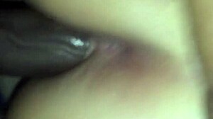 Does this big black king satisfy you?