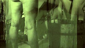 My Secret Life Reveals VINTAGE LESBIAN Desires