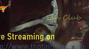 Thot in texas - pussy fucked and fingered toothbrush vibrator.