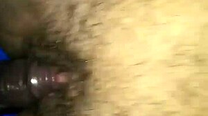 Big Dick Pounds That Wet Pussy Hard