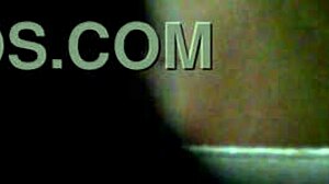 Chata Peluda Potona 1 Web Chat Session