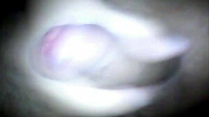 Bisexual webcam amateur cums hard