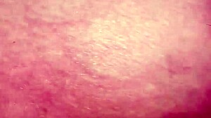 Exploring Naughty Habits in This Fourth Part