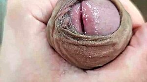 Amateur Solo Session with Cute Brazilian Twink in Action