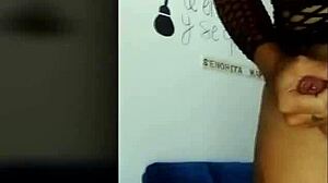 Ts Angelique Monroe Performs Webcam Show In Fishnets