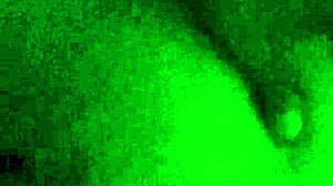 doggstyle phat booty thot screaming on big black cock