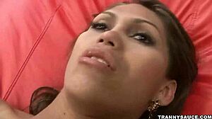 Busty Brunette Shemale Honey Engages in Solo Masturbation Tugging on Her Cock.