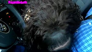 Nueva putita comes for her casting interview