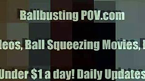 The mistress dominates her slave with intense ball kicking.