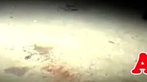 roundass babes sucking dick in weird fetish action 😈