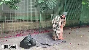 Pornstar Sucks Monster Cock Then Gets Ass Fucked Hard