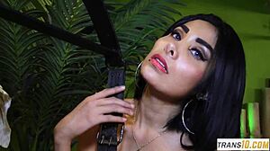 Wow! Busty Trans Latina Sucking Cock Before Wild Sex!