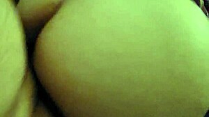 Chubby Fox Bent Over For Morning Anal Fucking