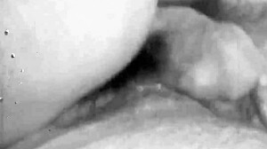 vintage sinful daughters performing hairy blowjobs retro style