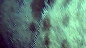 Shannon Pisses While Showing Her Pussy.