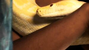 indian girlfriend teasing with her natural ass