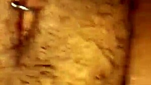 Comendo o cu da cris