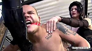 shemale fetish domination intense and wild!