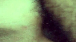 Getting Wild With Friends In Various Adventures And Fun Activities