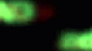 victor bloom follando vidas hard