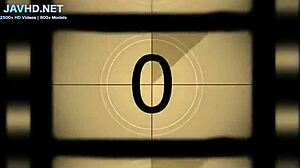 Sexy Japanese Legs in Stockings