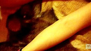 Skinny teen couple sneaks quick fuck while parents sleep nearby. Things get messy with facial finish.