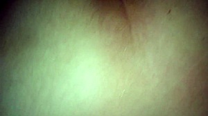 Cum On Ass In Huge Fucking Session.