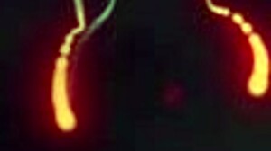 Judy jolie gets seduced by jeanie marie sullivan in kinky lesbian scene