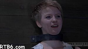 sweet honey faces torment in european setting