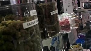 Wow, Anastasia Dior at Edison NJ for Exxxotica 2023 Anniversary! 🎉